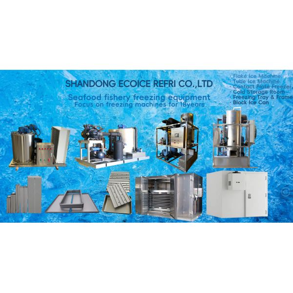 Ecoice crystal 2 Tons Tube Ice Machine Maker Price