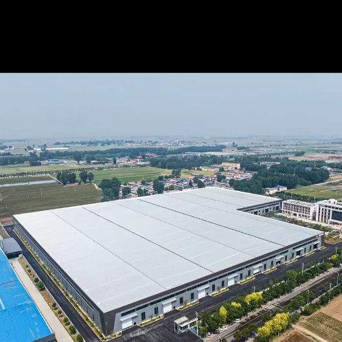 Custom Roof Slope Steel Structure Warehouse Rainproof Bulk Cargo Storage