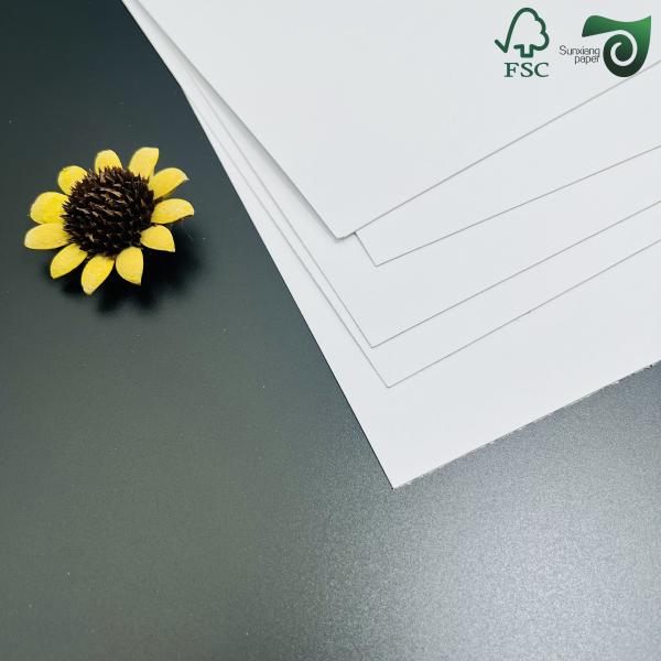 FSC 635mm×914mm Waterproof C1S Art Food Wrapping Paper For Takeaway Boxes