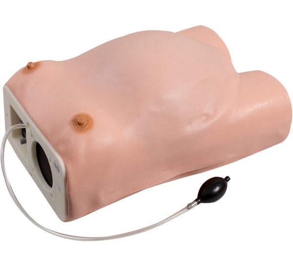 Hospital PVC Maternity Examination Gynecologic Simulator