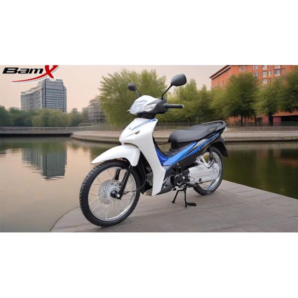 Велосипед грязи спорта цепного мопеда мотоцикла 110cc НОВИЧКА CDI крышки двойной