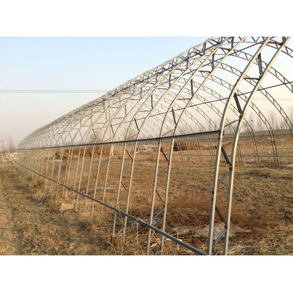 Double Film Double Arches Greenhouse Vegetable Growing 2.8m Tunnel Plastic Greenhouse