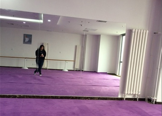 Compact Silver Framed Wall Mirror 3~6mm Thickness Green And Environmental Protection