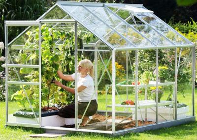 Small Hobby Flower Garden Greenhouse With Casement Door Simple Firm