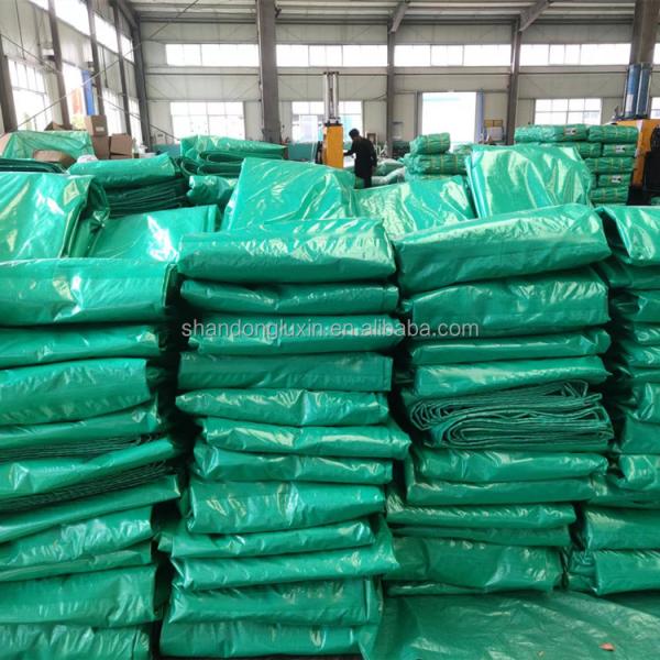Tenda verde impermeable al agua impermeable al polvo impermeable a la humedad Tenda verde impermeable al agua impermeable al polvo impermeable a la humedad Tenda verde impermeable a la humedad Tenda para exteriores