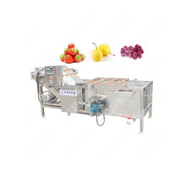 Hot Selling Industrial Fruit Washing Machine Single