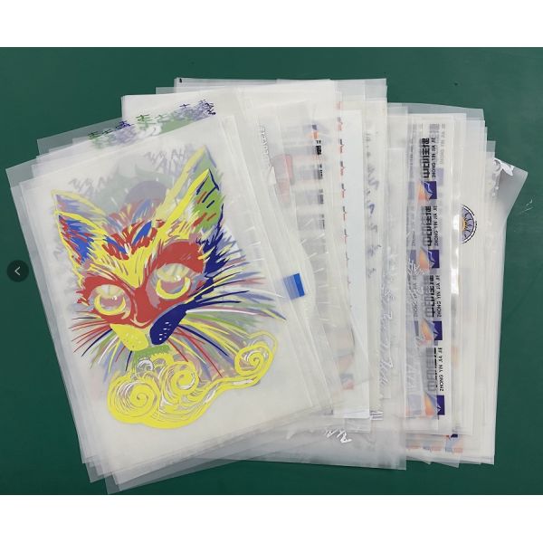 24 Inch PET Film DTF 60 CM Printer Heat Transfer T Shirt Printing Machine With XP600 Head
