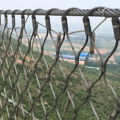 25*25mm Stainless Steel Cable Mesh 60 Degree Green Wall Wire Trellis System