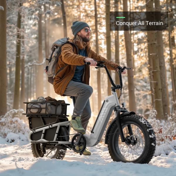 Family Cargao 20''*4.0 Electric Bike 1500W Motor 48v Moped-style Fat Tire Brushless Disc Power Lithium Battery