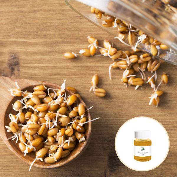 Cold Pressed Carrier Pure Wheat Germ Oil For Synthetic Handmade Soap