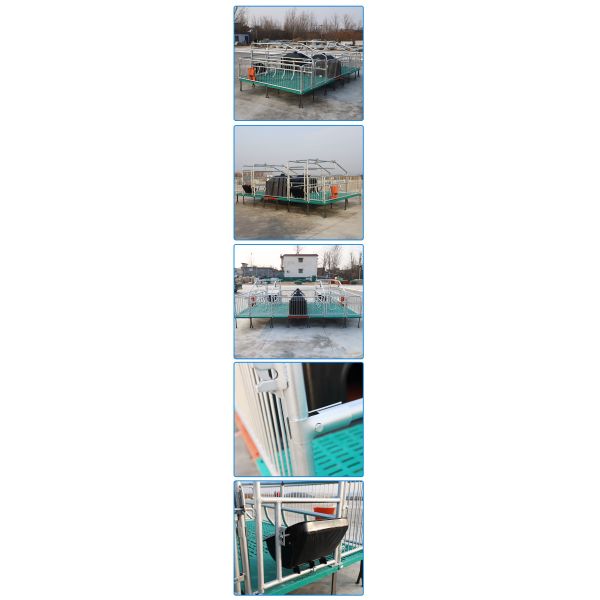New Design Pigs Gestation Crate for Sows Gestation Stalls Animal Cages