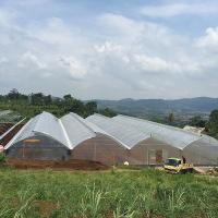 Horticulture Tropical Large Pvc Greenhouse With Agricole Metal Frame