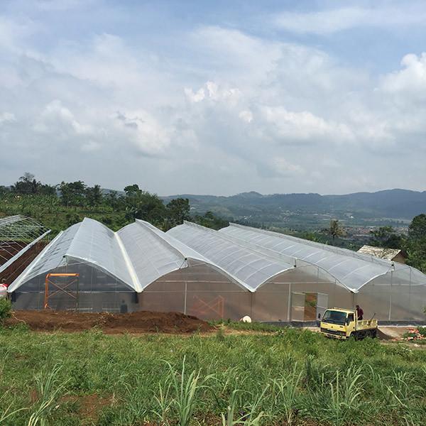 Horticulture Tropical Large Pvc Greenhouse With Agricole Metal Frame