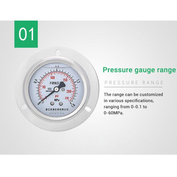 60mm Back Connection Pressure Gauge with Flange 250bar 304ss Liquid-Filled Manometer