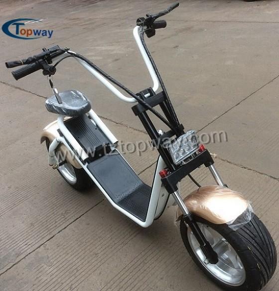 Popular Halley Electric Scooter 1000W 60V Fat Tyre Citycoco
