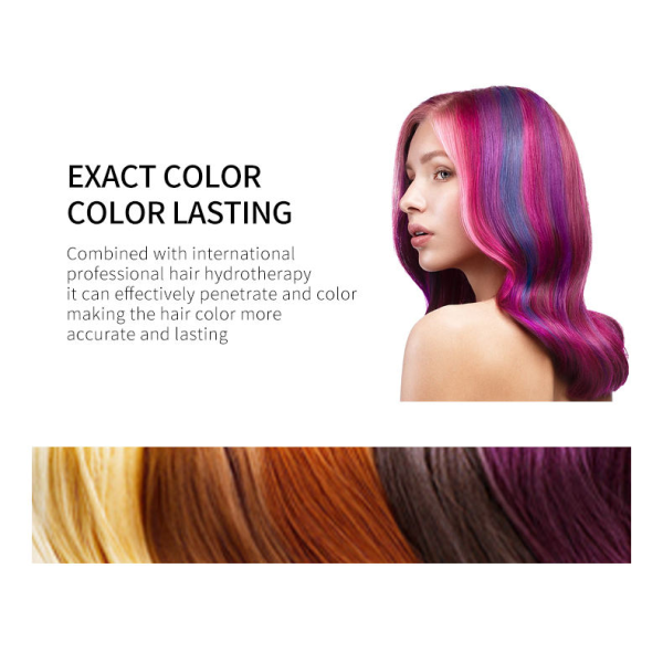 Hair Dye Factory  Professional Salon OEM Hair Color Cream  Wholesale Natural Hair Color Variant Colors