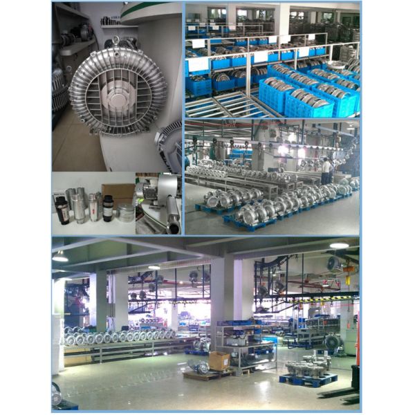 2RB Air Ring Pump Vacuum Pump Side Channel Blower High Pressure