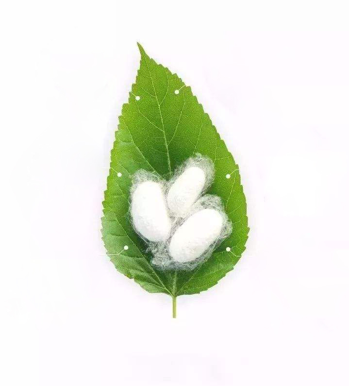 Silk Amino Acid 90% Cosmetic Grade Water Soluble White Powder for Skin Care