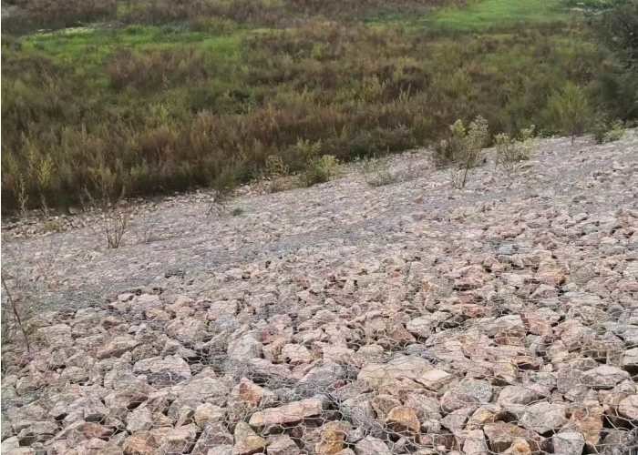 Pvc покрыл предохранение от наклона тюфяка Eco дружелюбное  Gabion