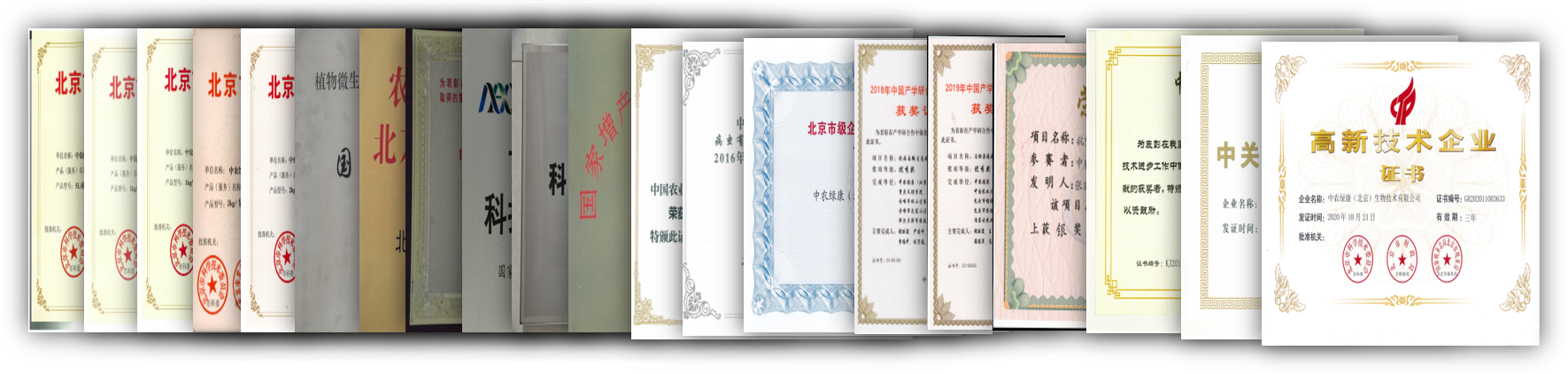 Fruit Tree Resistance And Prevention Of Various Diseases Root Irrigation