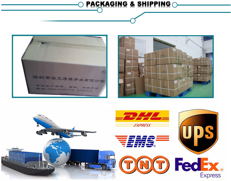 Flexible FPC Backlight Membrane Switch Embedded LED Illuminated Membrane Switch