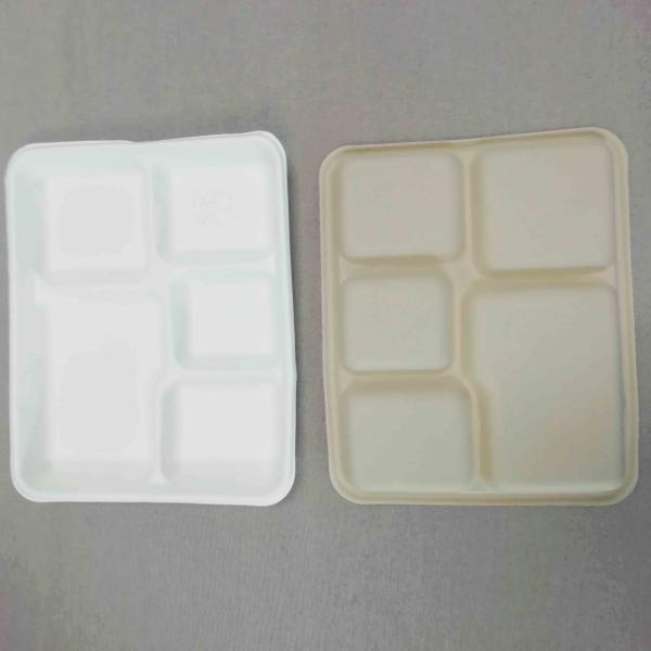 100% Biodegradable Sugarcane Pulp 5 Compartment Tray Natural Bagasse Eco-Friendly Compostable Melamine Dinner Plate