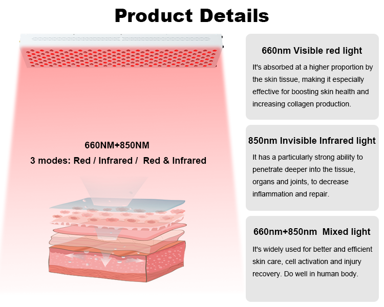 Панель терапией красного света машины роста волос и ультракрасный фотон приведенный 1500В
