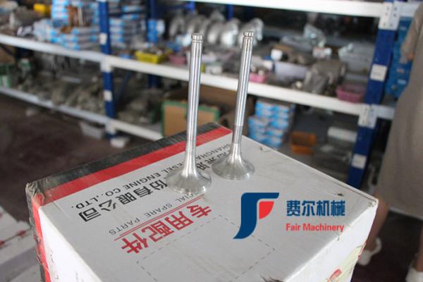 WP123003QD Weichai Engine Spare Parts Air Intake Valve 612600050073