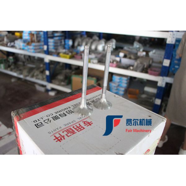 Original Authentic Weichai Deutz Exhaust Valve 12159608 For Loader