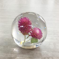 Botão seco do deslocamento de engrenagem da flor, botão limpo da engrenagem do dente-de-leão de Dia70mm