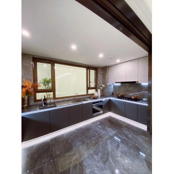 Armoire de cuisine porte volets de volets de fermeture élargissent armoire de cuisine de maison intérieure en acier