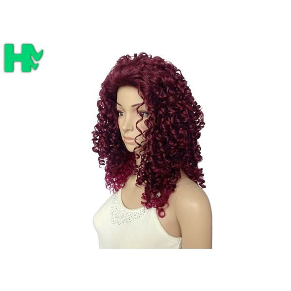 Kinky Curly Long Synthetic Wigs Natural Hair Line Mixed Color For Women