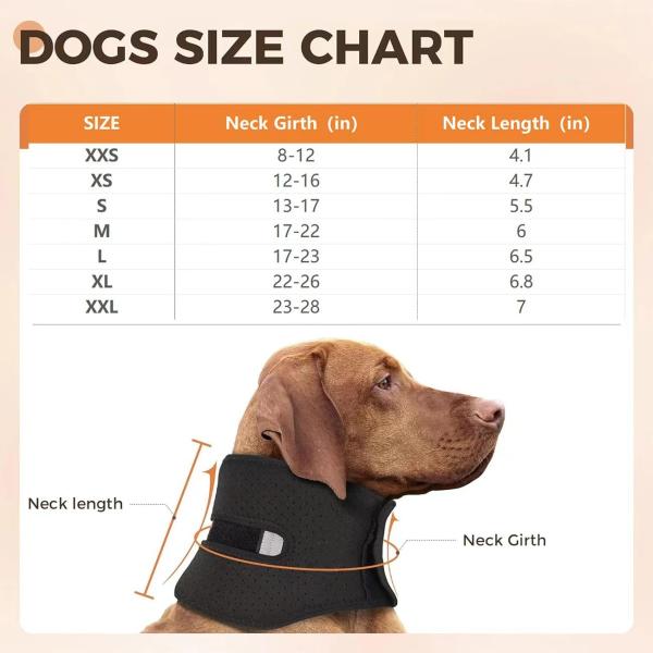 Dog neck brace
