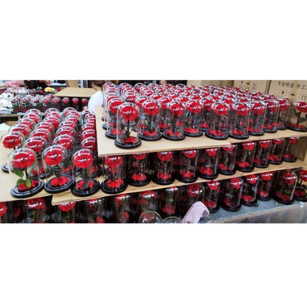 beauty and the beast roses preserved roses in glass dome rose for lover's gift