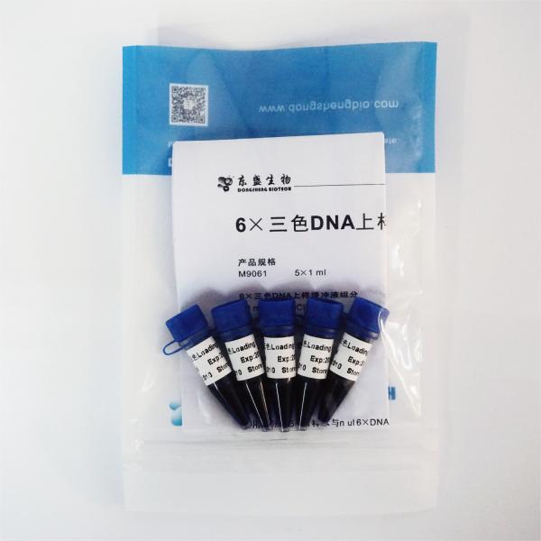 Orange 6x DNA Loading Dye 1mlx5 DNA Electrophoresis Loading Buffer
