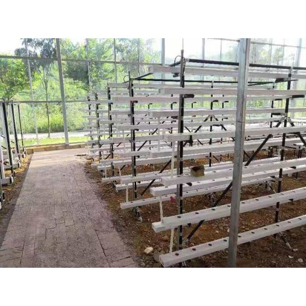 commercial NFT hydroponic growing system greenhouse NFT hydroponic channel