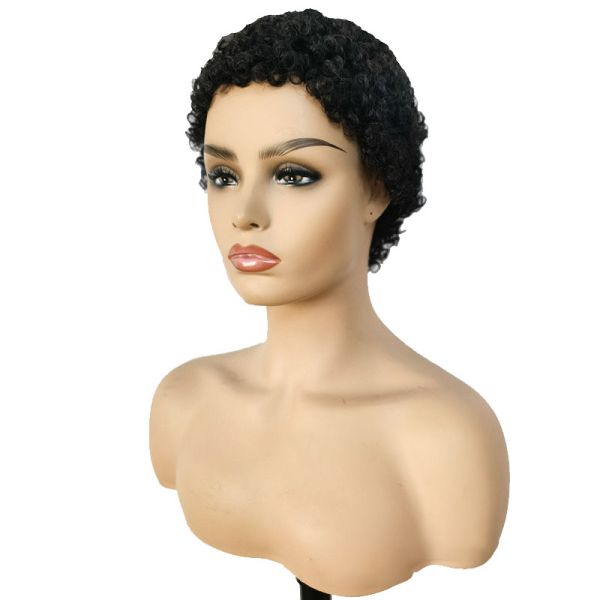 Machine Made Short Curly Human Hair Wig Afro Curly No Lace Closure Virgin Brazilian