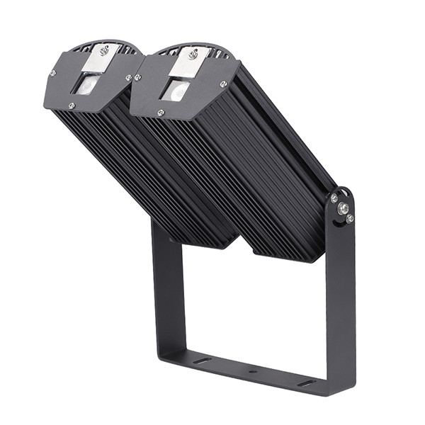 Double Head Laser Light