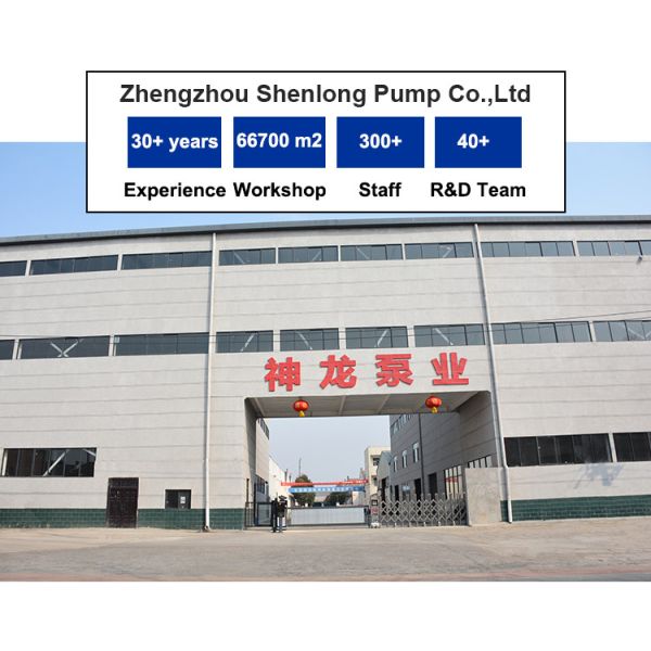 Pompes submersibles en acier inoxydable à grand débit 30 mètres de tête adaptée au drainage des chantiers de construction minière