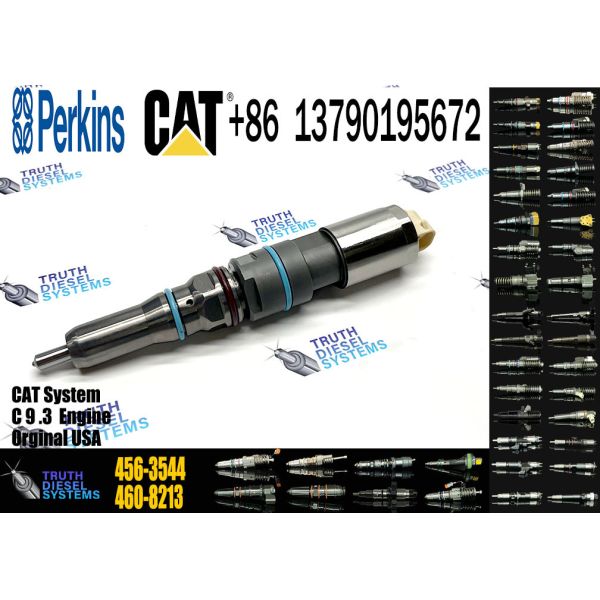 Common Rail Fuel Injector 456-3493 367-4293 363-0493 20R-5077 456-3579 456-3544  20R-5036 20R-5079 20R-1318