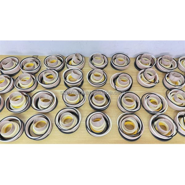 Mechanics 2450588 245-0588 2460648 246-0648 Hydraulic Cylinder Seal Kit with Advanced Mechanics Design