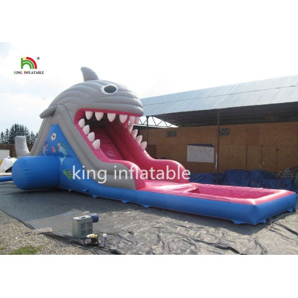 6m High Shark Inflatable Water Slide With Pool / Small Blow Up Slide For Kids