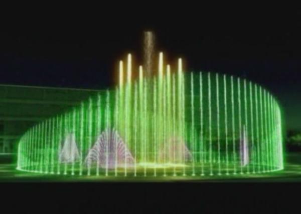 RGB DMX Lighting Dancing Waters Light & Fountain Show Wild Goose Wing Bird Design