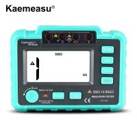カエメサウ 断熱抵抗テスト 1000V 2500V 過負荷防止 デジタル 断熱抵抗テスト IR10B