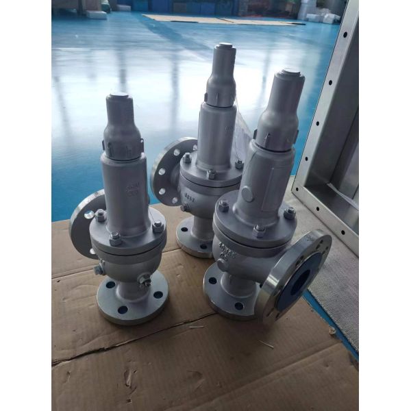 Stainless Steel Spring Type Safety Valve Full Open Natural Gas Relief Valve