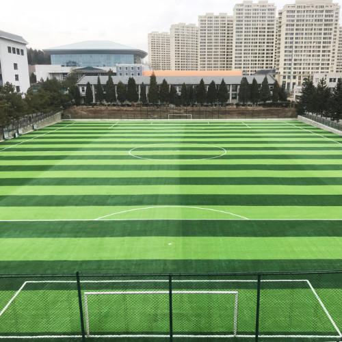 FIFA Approved Premium SBR Rubber Granules For Competition-Grade Football Field Artificial Turf Filler