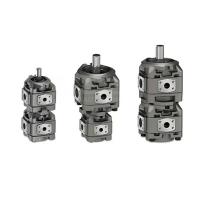 Pompes à engrenages en fonte hydrauliques 5001417-001