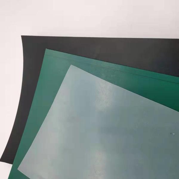 HDPE Geomembrane Artificial Pool Fish Pond Lake Tank Liner for Onsite Training Service