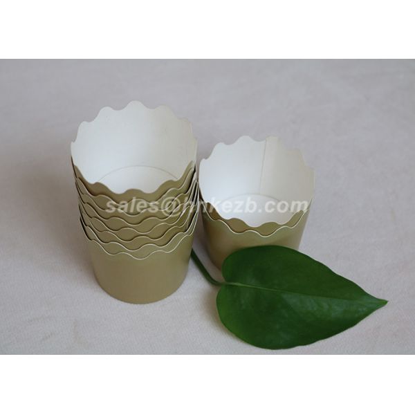 10oz Cold Drink Paper Cups With Plastic Lids For Cold Coffee / Tea / Coca Cola