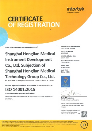 ISO PVC Male Urethral Catheterization Simulator